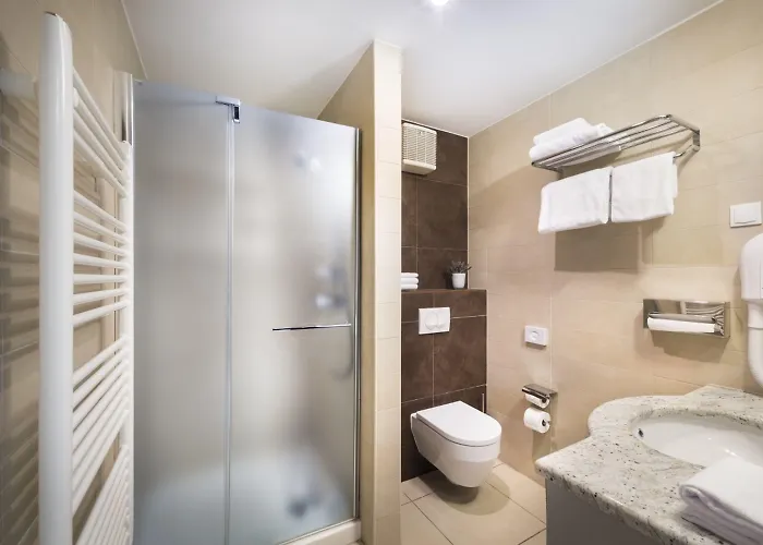 Valamar Atrium 酒店 巴斯卡